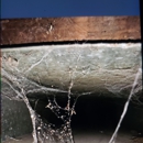 Amistee Air Duct Cleaning and Insulation - Air Duct Cleaning