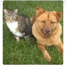 Pet Corral - Pet Sitting & Exercising Services
