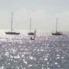 Dinner Key Marina