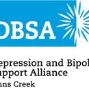 Depression & Bipolar Support Alliance Johns Creek - Community Organizations