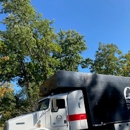 Madison Tree Care & Landscaping, Inc. - Tree Service