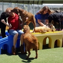 Top Notch Kennels - Pet Services