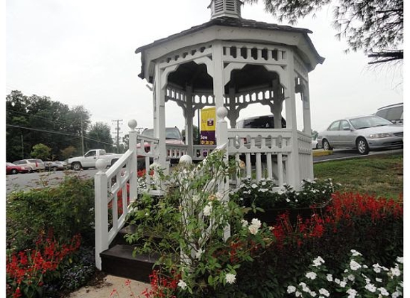 Carousel Gallery #11