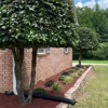 White River Lawn Co. And Landscaping gallery
