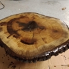 JJ Tree Co. gallery