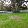 Southern Bulldogs Stump Grinding gallery