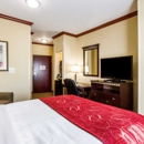 Comfort Suites Central - Motels