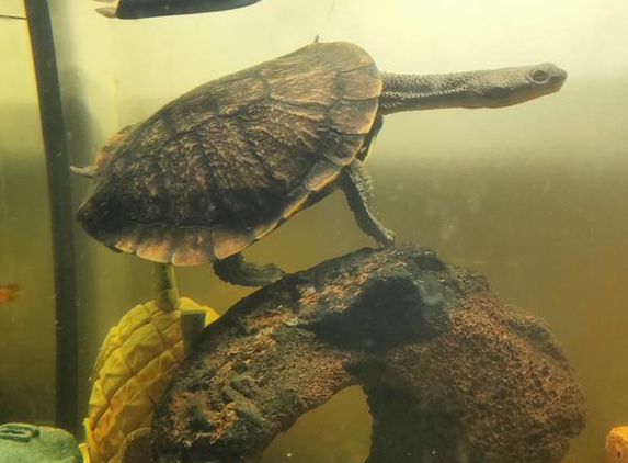 Wollundry Fruit Barn & Pet World - Wagga Wagga, NSW. Owner gave great advice on my turtle too.