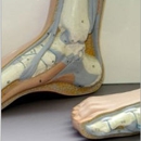 Foot & Ankle Center - Physicians & Surgeons, Podiatrists