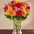 Bouquet Florist & Gifts - Preserved Flowers