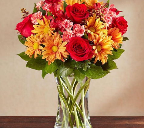 Oakbrook Florist & Flower Delivery - Mountain View, CA