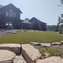 Green Team - Landscape Designers & Consultants