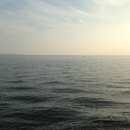 Palafox Pier & Yacht Harbor - Yachts & Yacht Operation