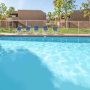 Palm Springs View Apartments - Apartments