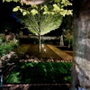 Blingle Premier Lighting of Lexington gallery
