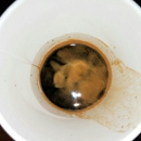 Peet's Coffee & Tea - Coffee & Espresso Restaurants
