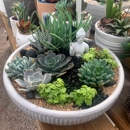 East Austin Succulents - Nurseries-Plants & Trees