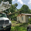 Parker Tree Service gallery