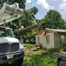 Parker Tree & Excavation Services  LLC - Demolition Contractors