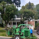 Stringfellow's Tree Service - Tree Service