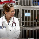 VCA All Pets Hospital - CLOSED - Veterinarians