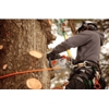 Total Tree Care Specialists gallery
