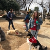 Comprehensive Pet Therapy, Inc. gallery
