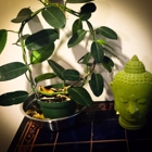 New York Ayurveda & Panchakarma Center