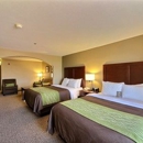 Comfort Inn Edinburg South - Motels