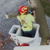 Swartz Tree Service gallery