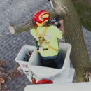 Swartz Tree Service - Tree Service