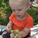 Gardens Day Care - Yonkers - Day Care Centers & Nurseries