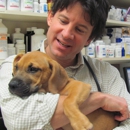 Animal Ark Veterinary Hospital - Veterinary Clinics & Hospitals