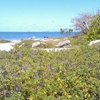 Emerson Point Preserve gallery