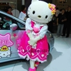 ITS A PARTY TODAY gallery