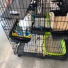 Pet Supplies Plus gallery