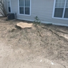Stump Grinding Services gallery