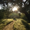 Charmlee Wilderness Park gallery