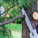 Troy's Tree Service inc - Tree Service