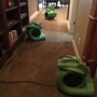 SERVPRO of Northern Colorado Springs / Tri-Lakes