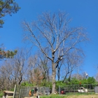 Clockwork Tree Service