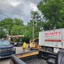 Big Dave's Tree Service - Tree Service