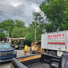 Big Dave's Tree Service