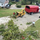 Georgia Tree Masters