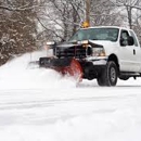 Tree & Snow Removal Services - Tree Service