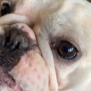 A Caring Heart Veterinary Hospital - Veterinarians