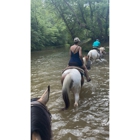 Riverside Riding Stables
