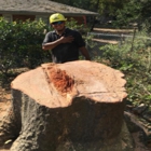 5 Star Tree Service