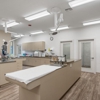 NewDay Veterinary Care Apollo Beach gallery