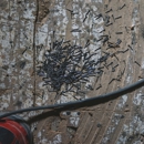 Big River Pest Control - Pest Control Equipment & Supplies